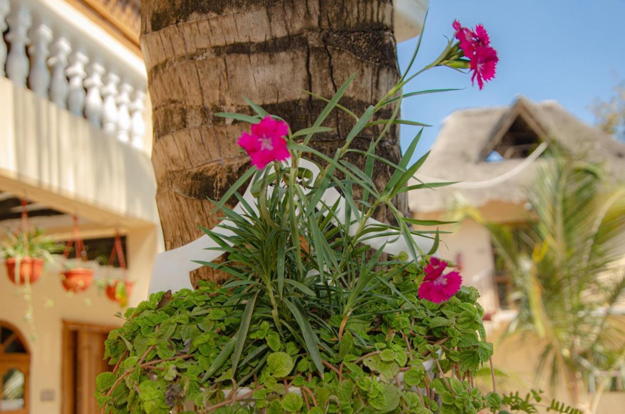 Zanpalm Boutique Hotel Michamvi Extérieur photo